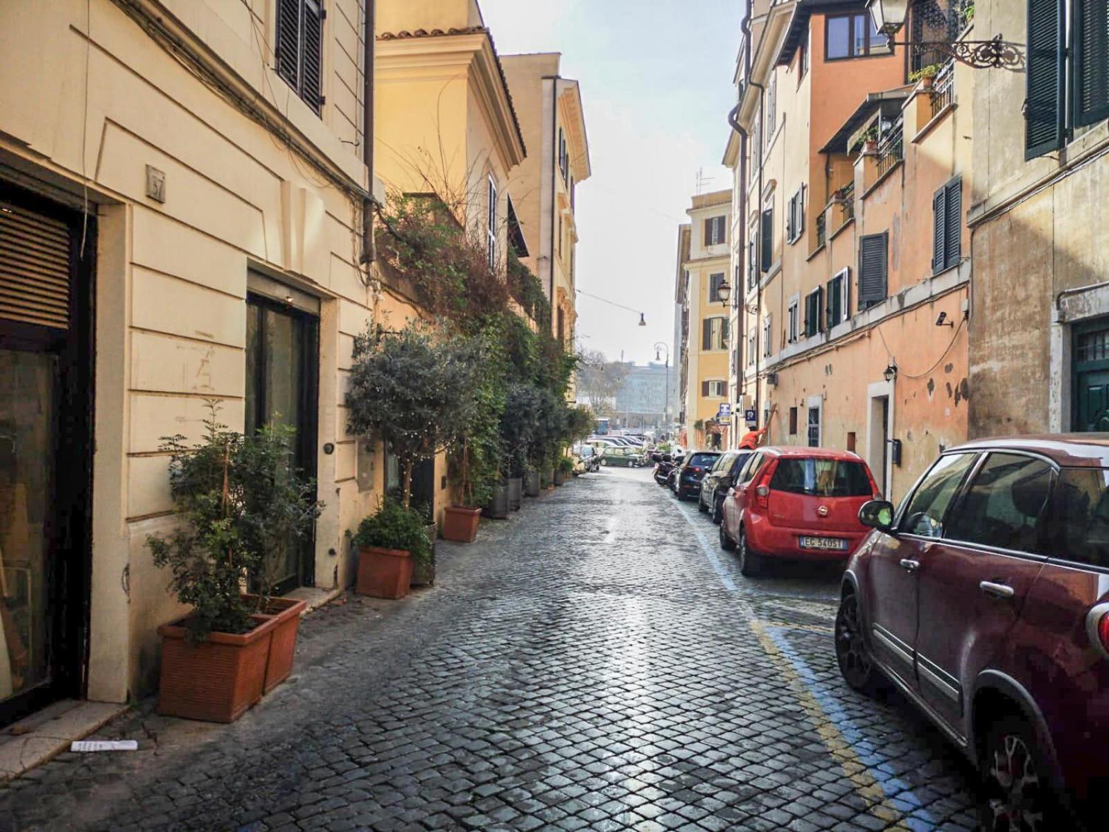 Flatinrome Trastevere Deluxe Rooms - Green Patio Εξωτερικό φωτογραφία